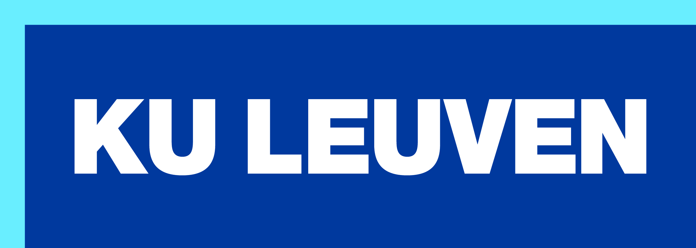 KU leuven organisator VPW2015